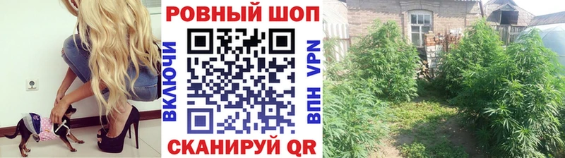 Наркошоп купить Меф мяу мяу  Владикавказ