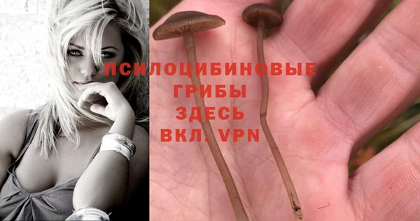мескалин Пересвет