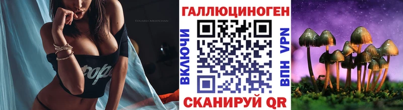 Галлюциногенные грибы мухоморы  Купить где  Владикавказ